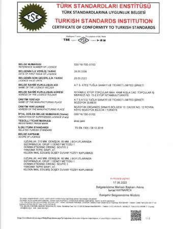 TSE 2022-2023